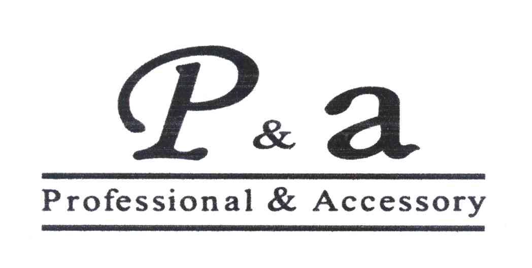 P & A PROFESSIONAL & ACCESSORY