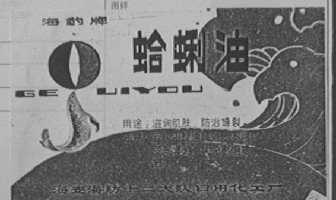 海豹
