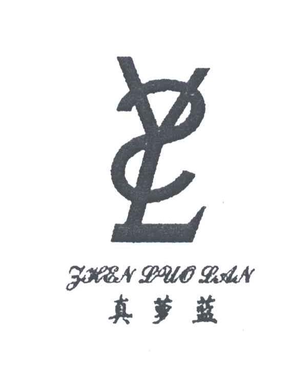 真梦蓝