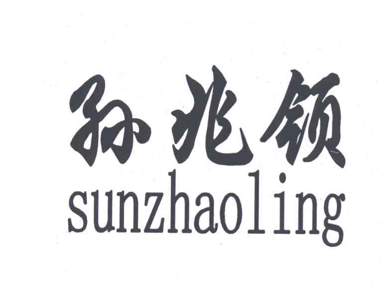 孙兆领