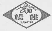 杨桃