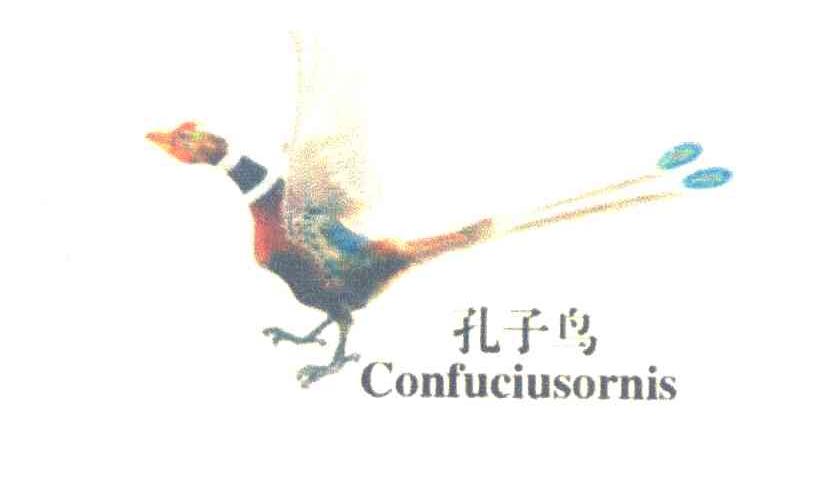 孔子鸟 CONFUCIUSORNIS