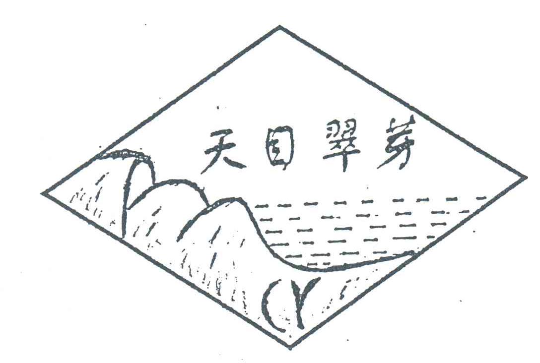 天目翠芽