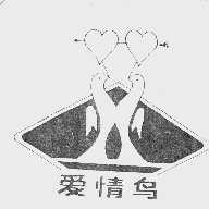 爱情鸟