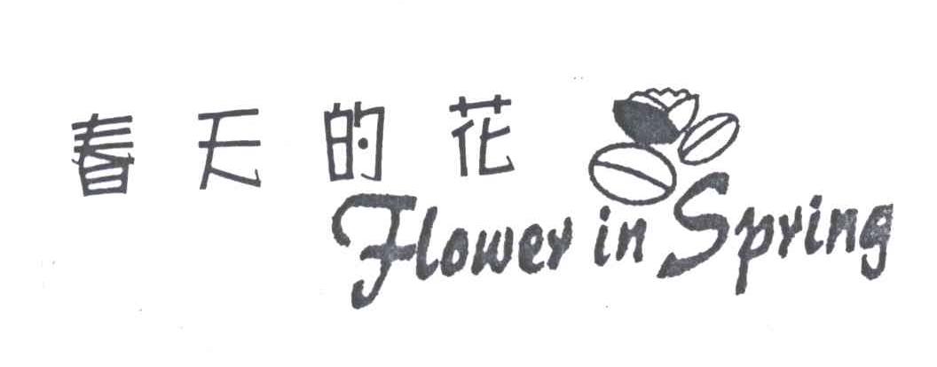 春天的花;FLOWER IN SPRING