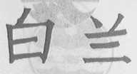 白兰