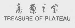 高原之宝   TREASURE OF PLATEAU