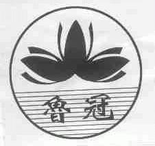 鲁冠