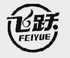 飞跃