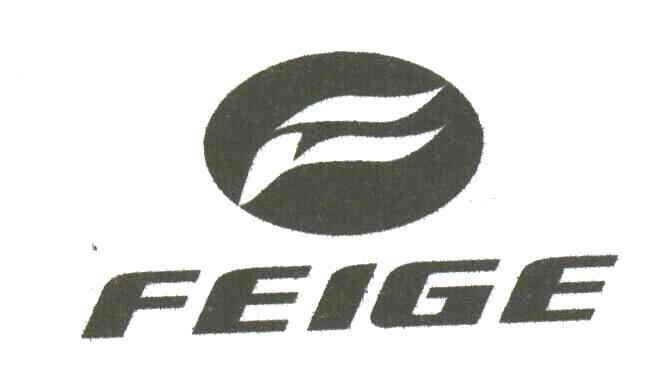 FEI GE