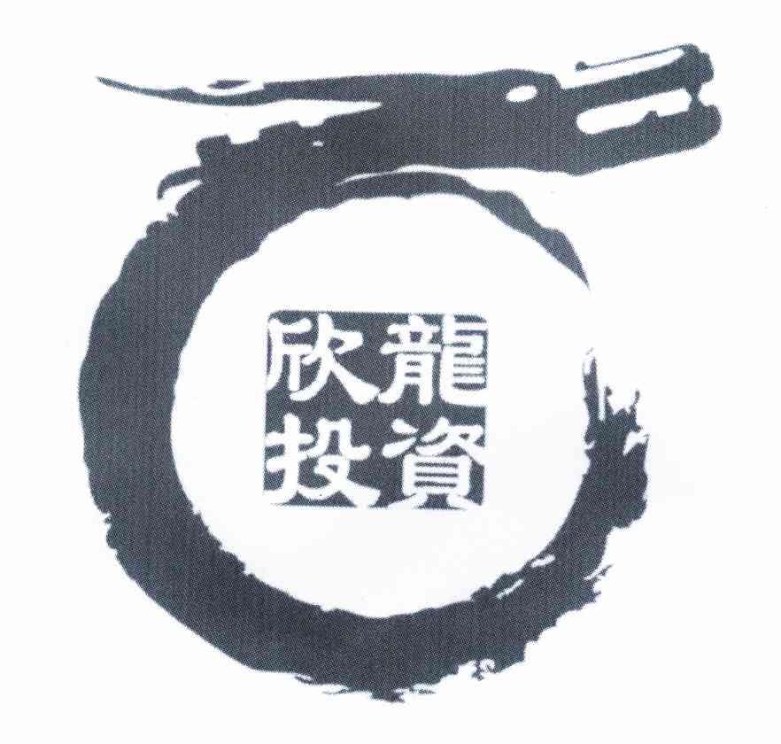 欣龙投资