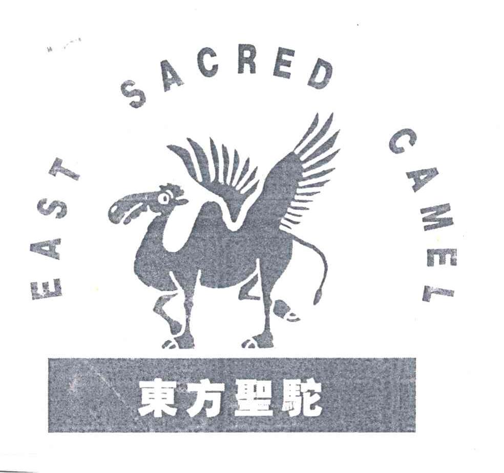 东方圣驼;EAST SACRED CAMEL