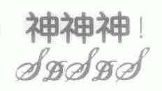 神神神;SDSDS