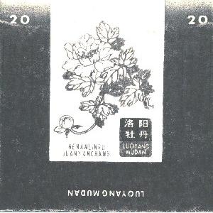 洛阳牡丹