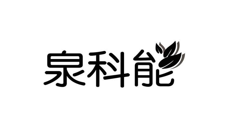 泉科能