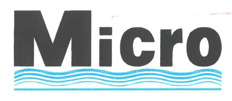 MICRO