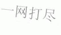 一网打尽