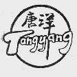 唐洋