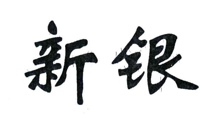 新银