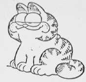 GARFIELD PICTURE