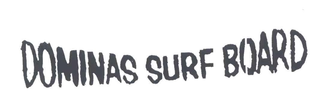 DOMINAS SURF BOARD