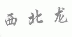 西北龙