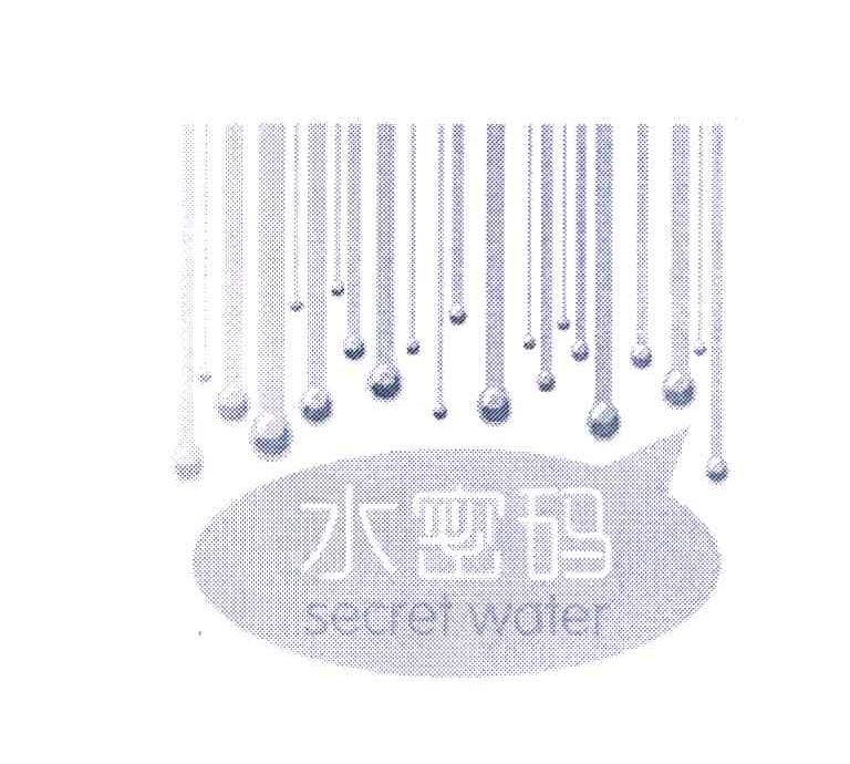 水密码 SECRET WATER