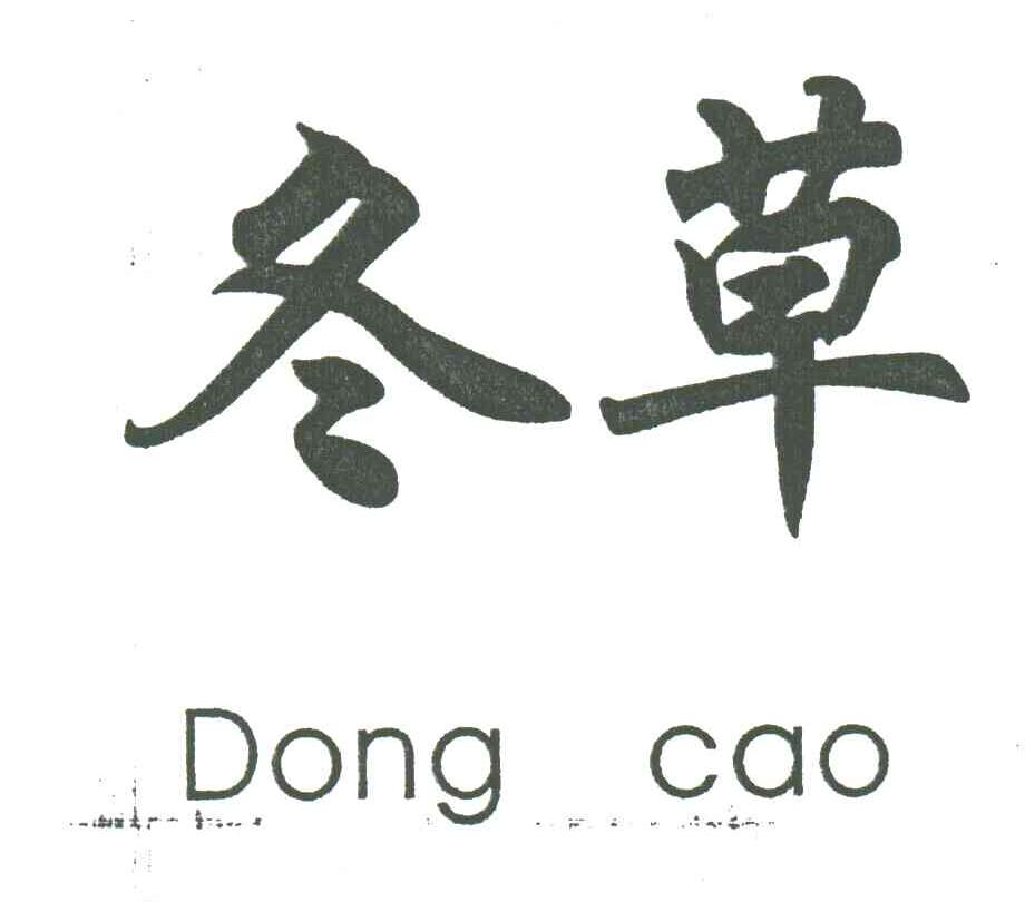 冬草;DONG CAO