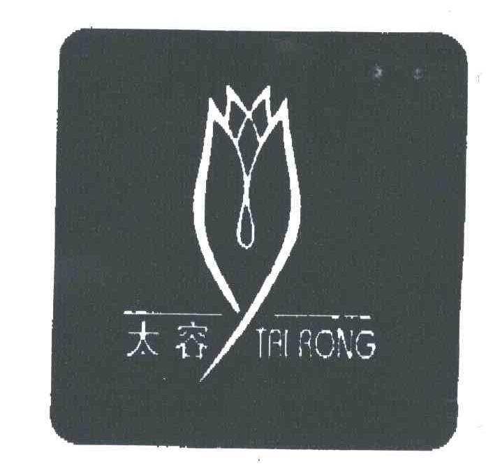 太容