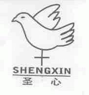 圣心