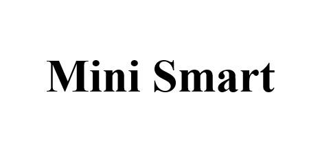 MINI SMART