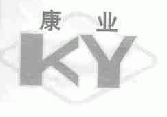 康业