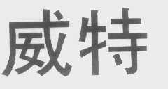 威特