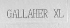GALLAHER XL