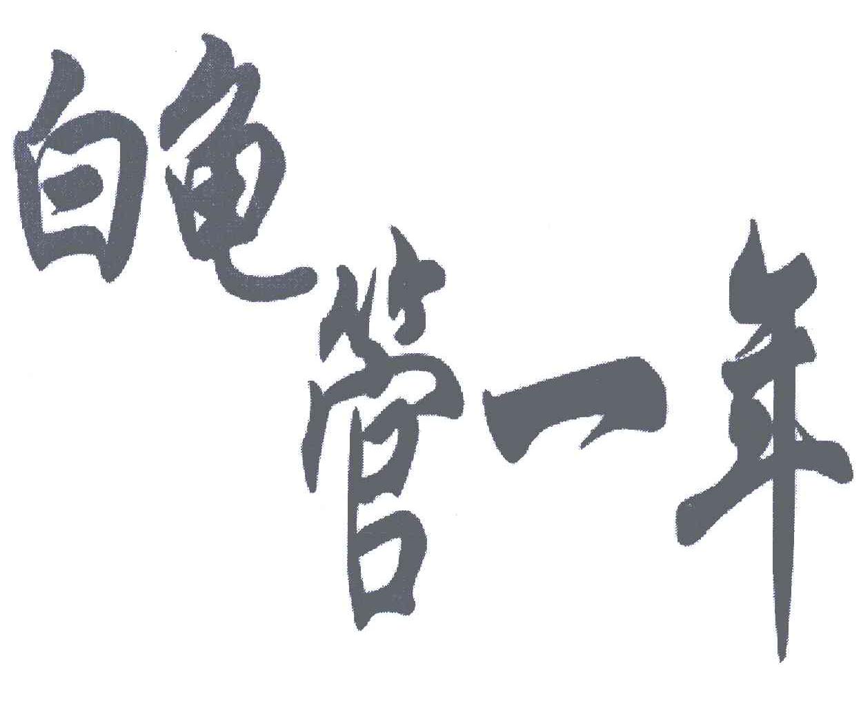 白龟管一年