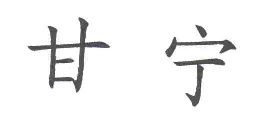 甘宁