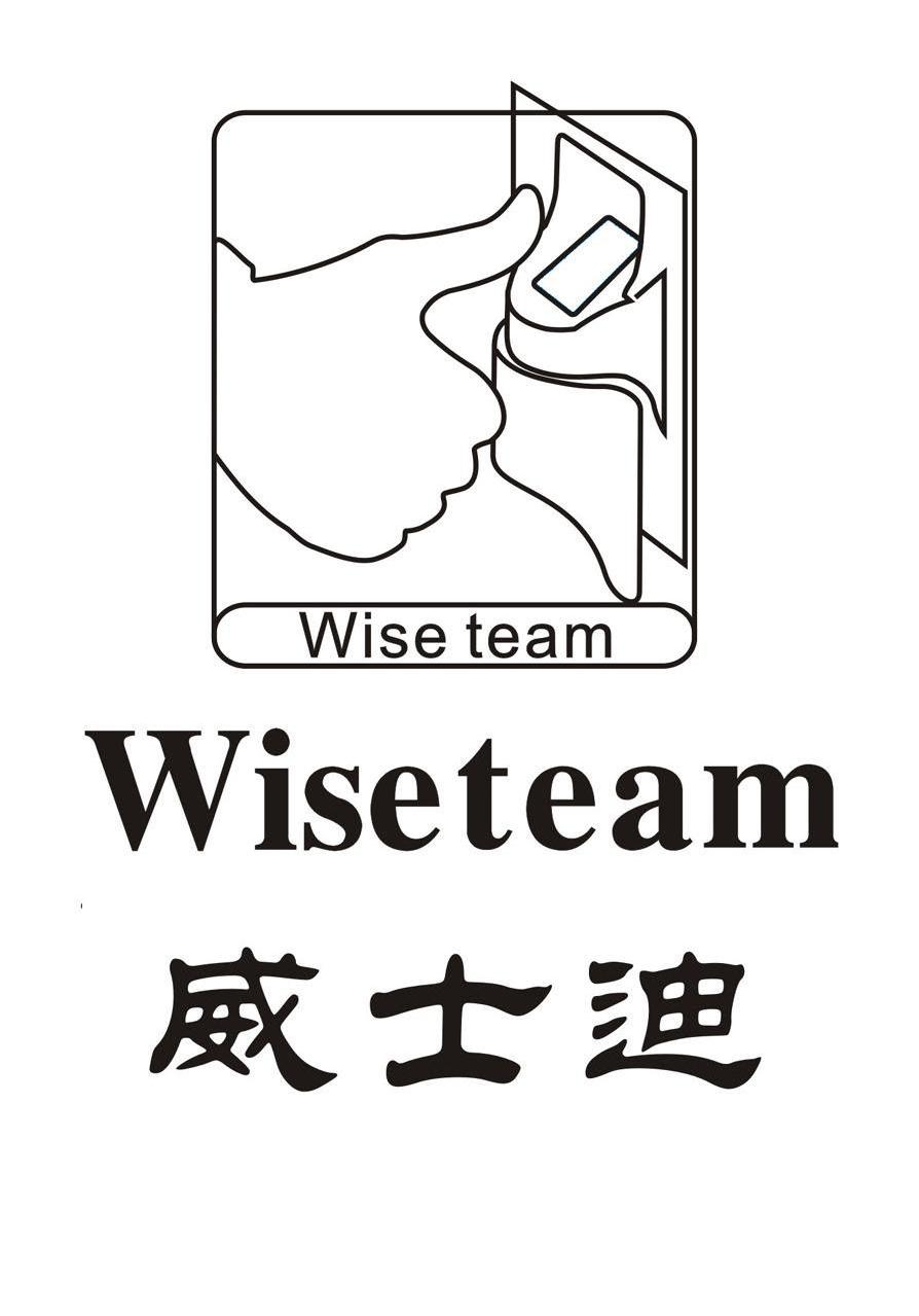 威士迪 WISETEAM