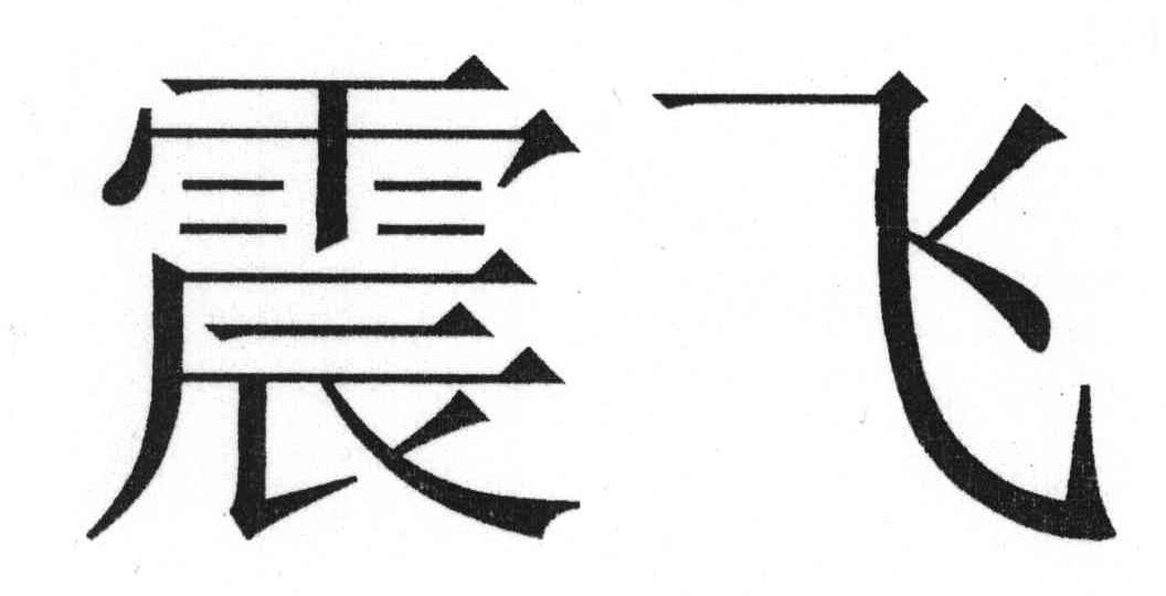 震飞