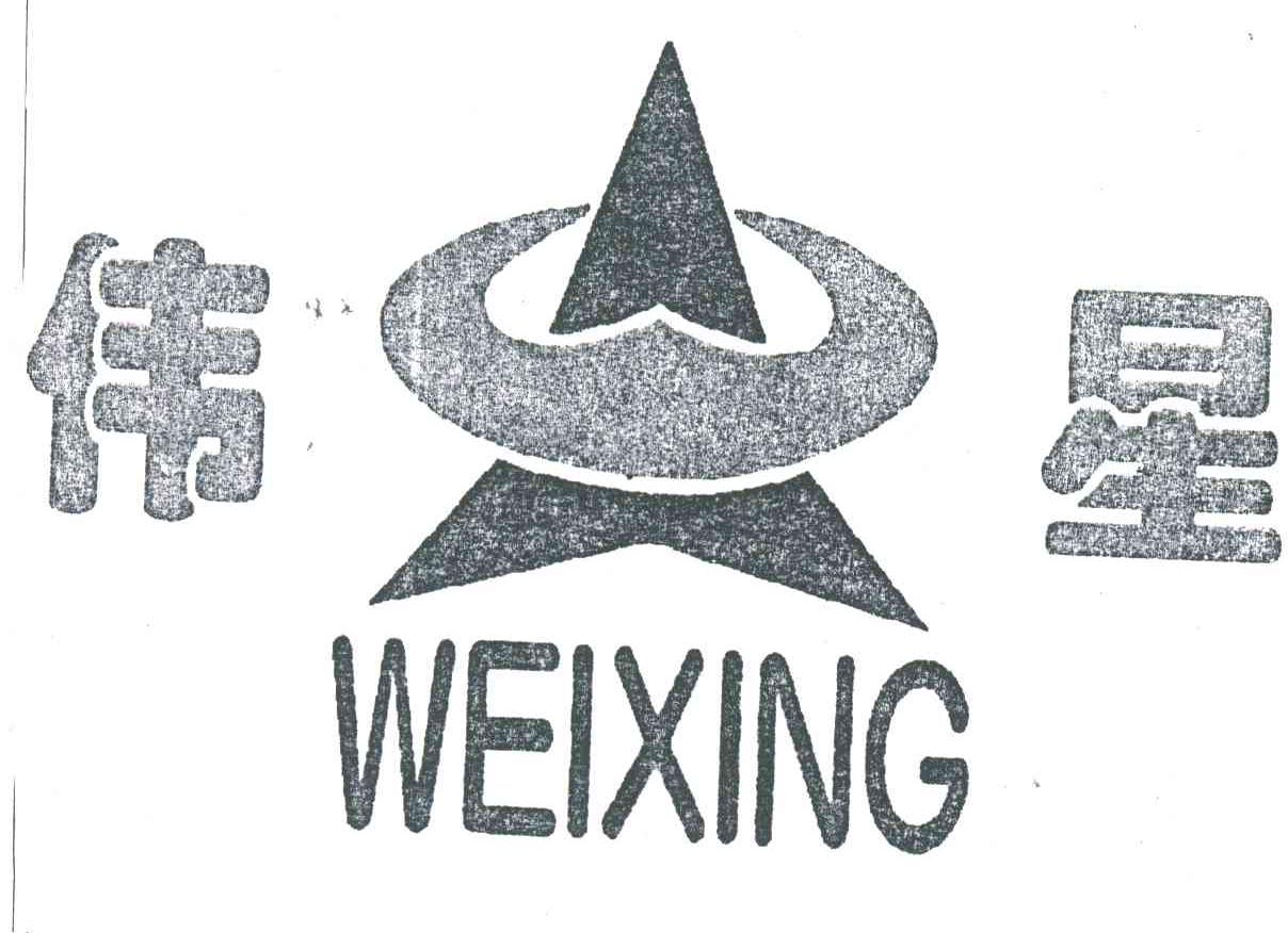 伟星;WEI XING