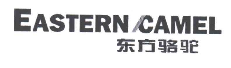 EASTERN CAMEL;东方骆驼