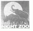NIGHT ZOO
