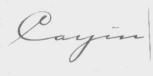 CAYIN