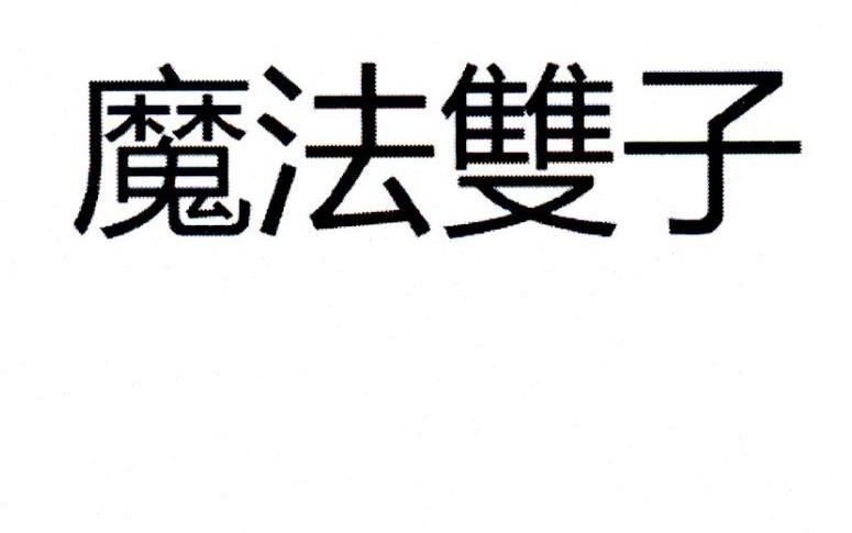 魔法双子
