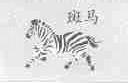 斑马