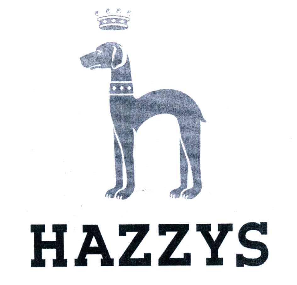 HAZZYS