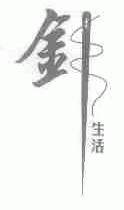 针生活