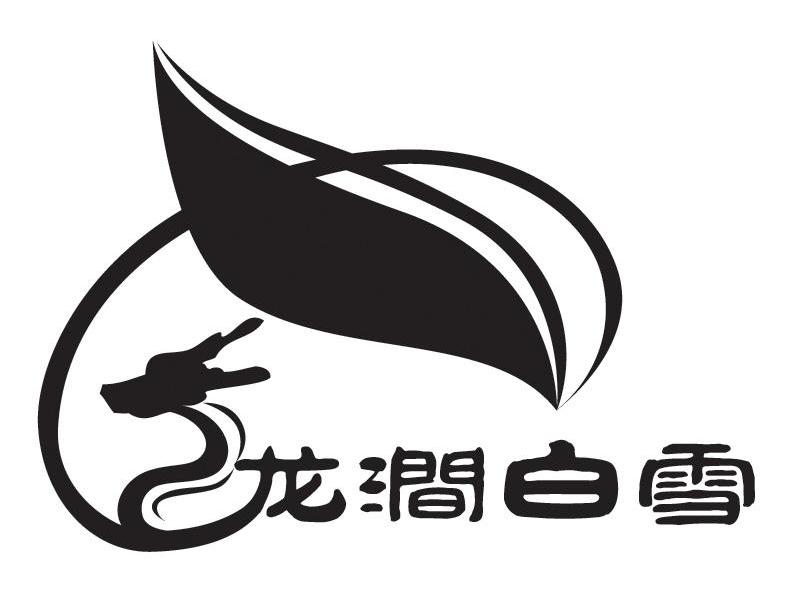 龙涧白雪