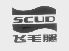 飞毛腿   SCUD