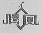 腾凤
