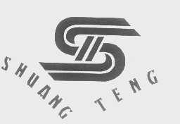 SHUANG TENG